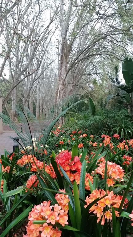 Babbling Brook Bed & Breakfast Pietermaritzburg Dış mekan fotoğraf