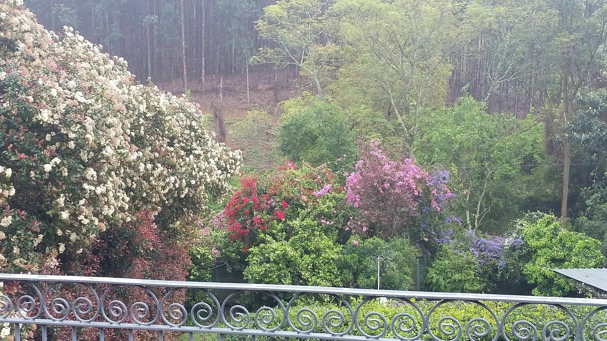 Babbling Brook Bed & Breakfast Pietermaritzburg Dış mekan fotoğraf