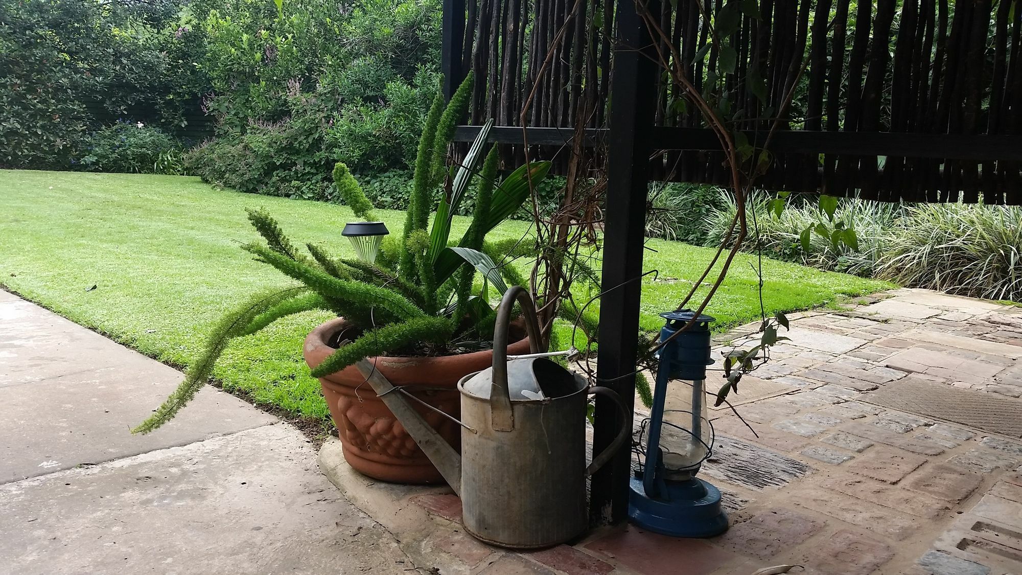 Babbling Brook Bed & Breakfast Pietermaritzburg Dış mekan fotoğraf